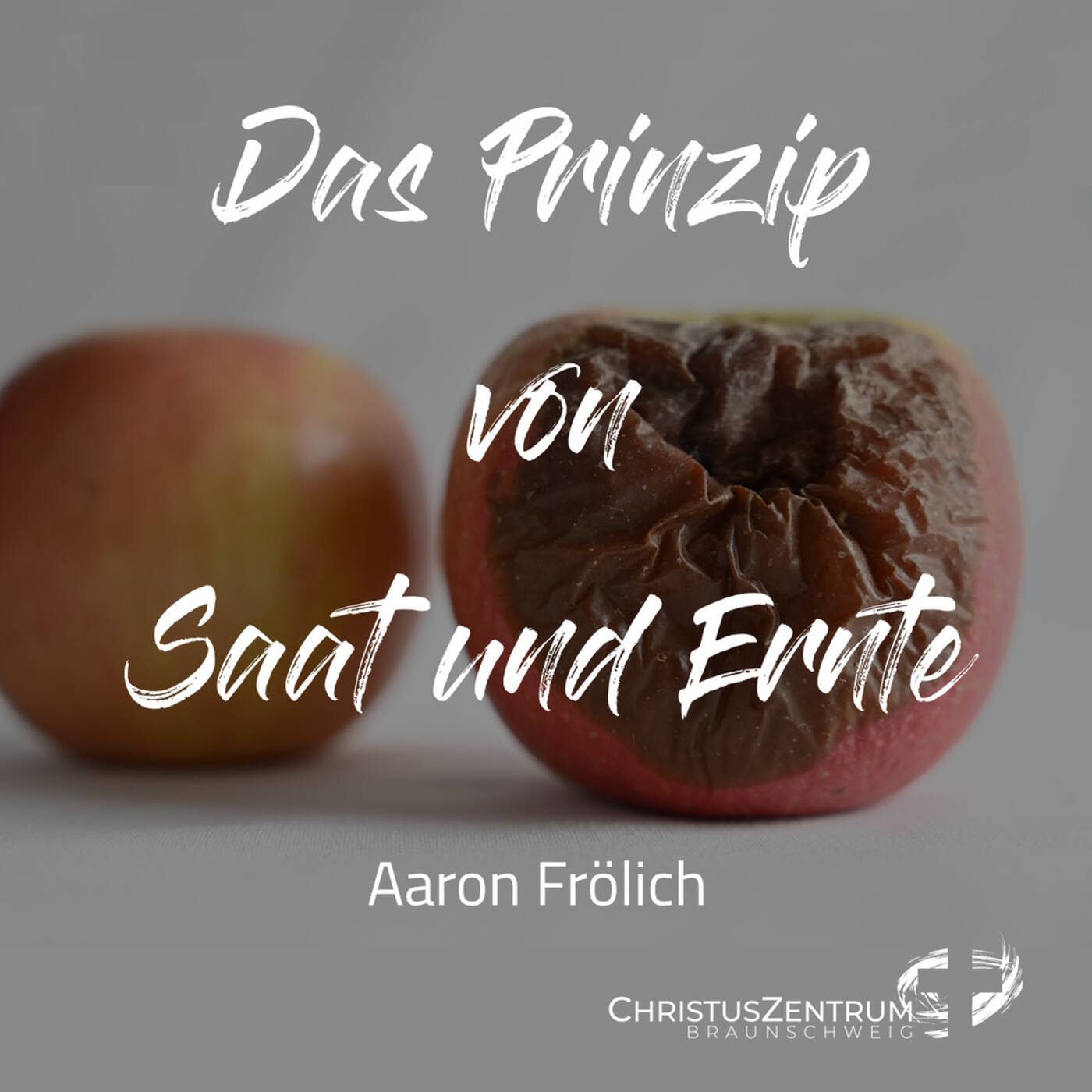 22.10.23 | Das Prinzip von Saat und Ernte | Aaron Frölich episode artwork