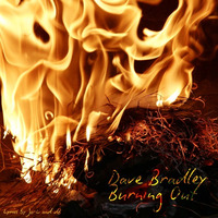 Dave Bradley - Burning Out by Dave Bradley