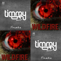Timmy Trumpet x Loas - WildFire Freaks (KWA Edit) by Kwamusic