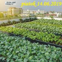 Riešenia a alternatívy 121 - 2019-06-14 Jedlé mestá a miesta by Slobodný Vysielač