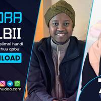 RNH 772, December 19, 2022 Soora Qalbii by NHStudio