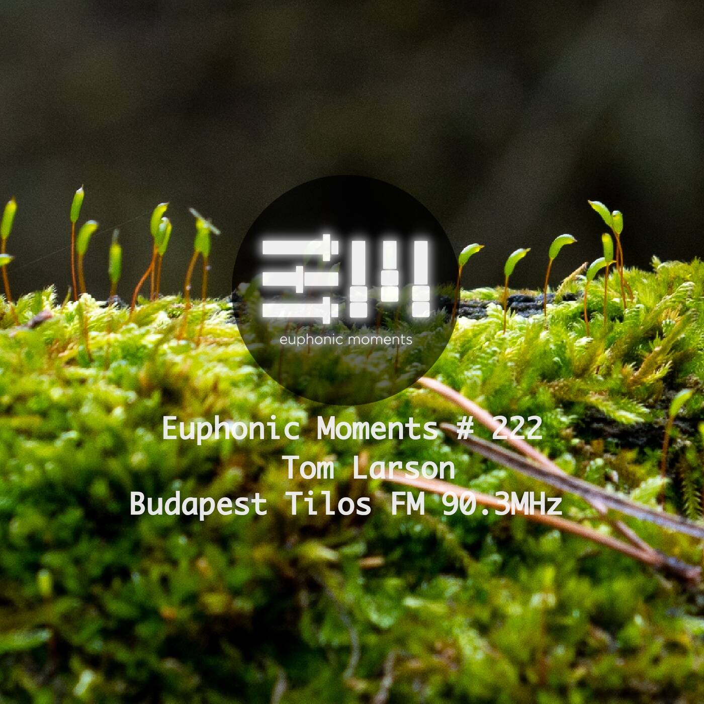 Euphonic Moments