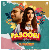 Pasoori (Remix) - DJ Raney by All Indian DJs Drive