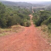 march o morir by Hans Krauß