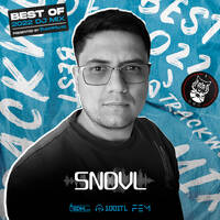 SNDVL - TrackWolves Best Of 2022 DJ Mix by TrackWolves