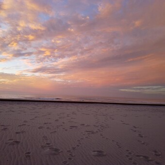 Margarida Bairr&atilde;o