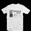 antiquesoul