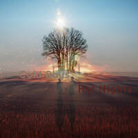 Cold Days Hot Nights - Dhin Magic Corporation - Debüt by Dhin / Magic Pad Corporation