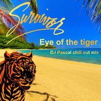 My remixes