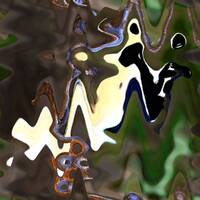 Bifurcations by Gérard Delassus