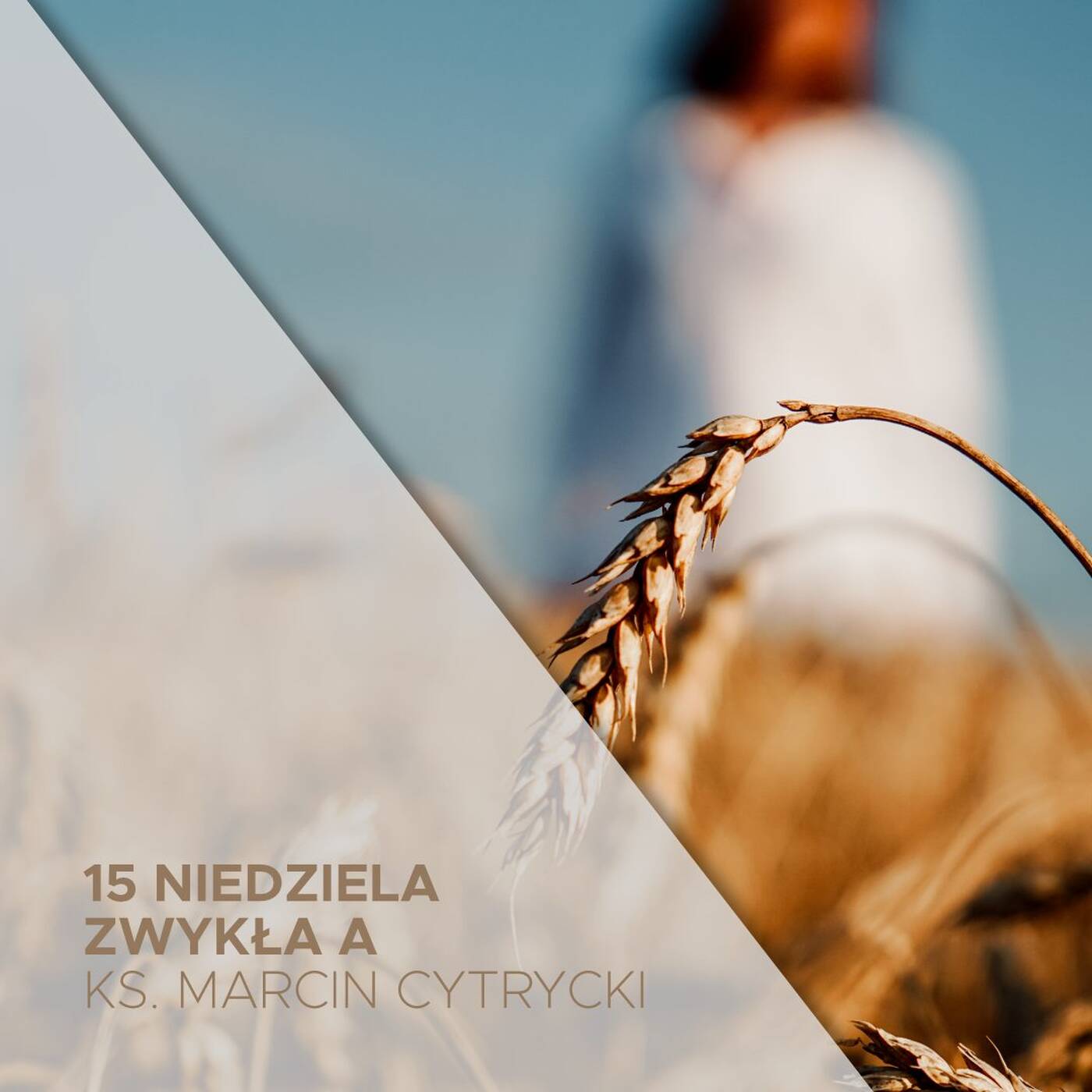16.07.2023 - 15. Niedziela Zwykła A - O dobrym zasiewie - ks. Marcin Cytrycki episode artwork