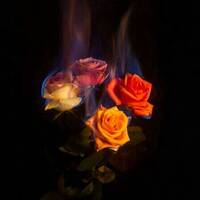 Valentines's Day Mash-up- Trip Of-course by Deejay Trip