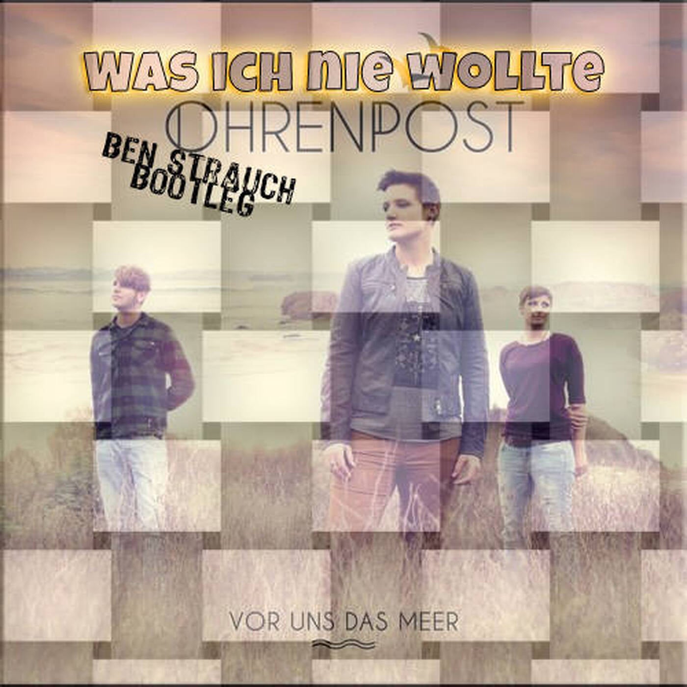 Ohrenpost  - Was ich nie wollte( (Ben Strauch Bootleg)) episode artwork