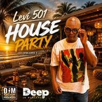 Levi 501 - House Party Vol 1 by Deep In Maglera