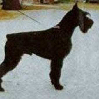 Juan Manuel Cobos Guerrero