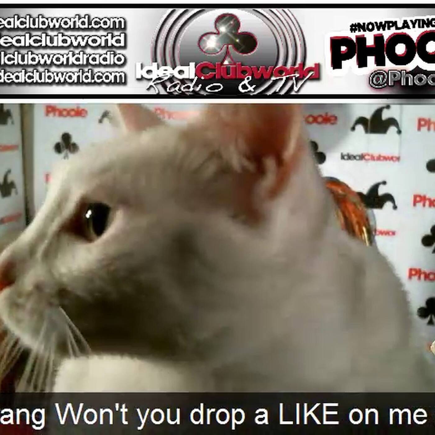 @Phoole and the Gang | Show 118 | @IdealClubWorld Radio | 24 October 2015 episode artwork