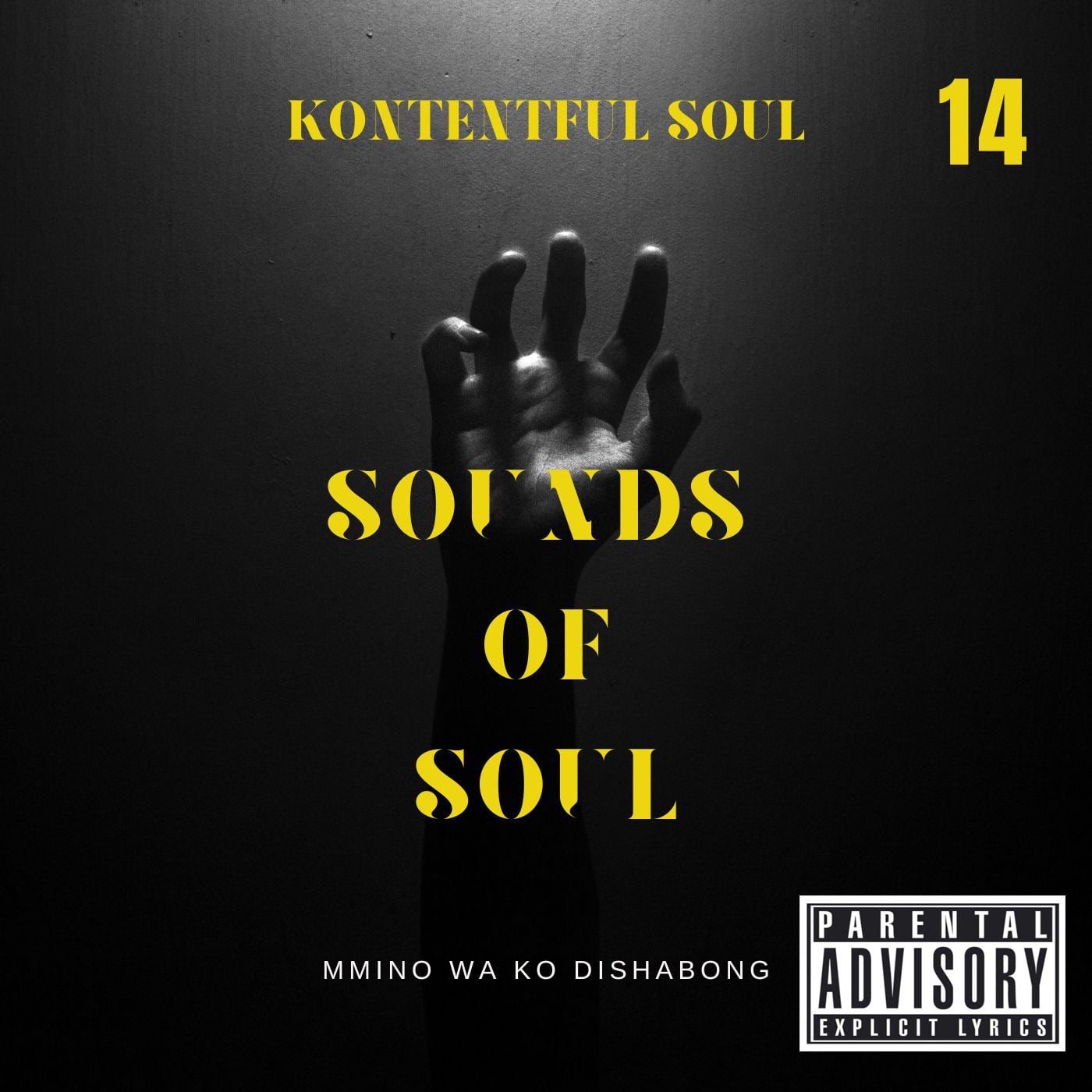Sounds Of Soul 14