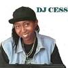 Dj cess 254
