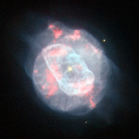 the [not worth a penny ] free tunes