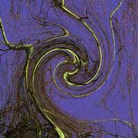 Divagations épicycloïdales by Gérard Delassus