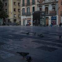 Radio Textual - Fernanda Mancini (31-10-2020) by FMSONAR