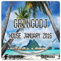GRINGODJ - HOUSE JANUARY 2016 by Christian Saavedra Gringodj