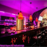 Selection 29 Muziq De Separee 2022 [dedicated to kyiv] by dauerwellen