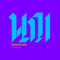 Finn Johannsen - Hausmusik 26 (1997) by Finn Johannsen