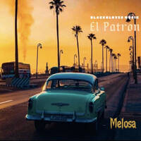 &Eacute; L P A T R O N Series