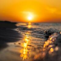 Snapshot 2026-04 [*PART 1] by Dr.Best