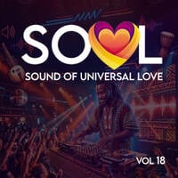 SOUL Vol.18 by The Jazz