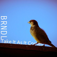 BRNDL - Take It As It Comes by BRNDL