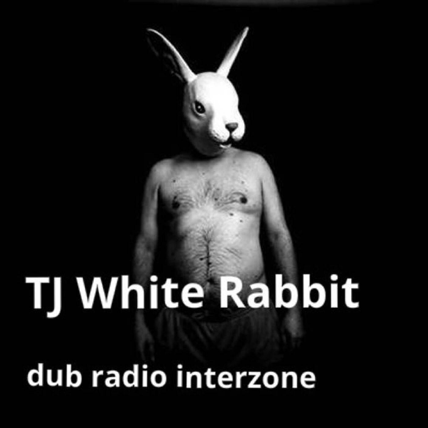 Grenzpunkt Null Reloaded - Dub like dope: Chapter 8 #99 — Pi Radio cover