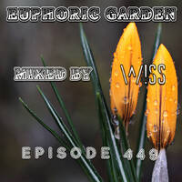 Euphoric Garden Podcast