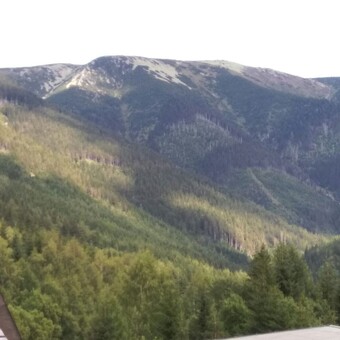 Ваня Котубей