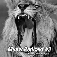 Roque Rodriguez - Meow Podcast #3 by Roque Rodriguez