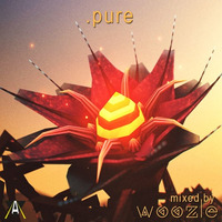 Woozle // .pure by WOOZLE
