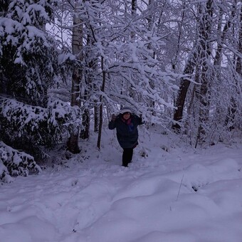 Ilona Jerma&scaron;eviča