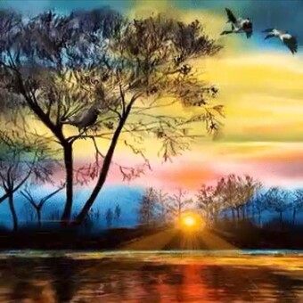 رشا محمد على