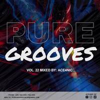 Pure Grooves Vol.22 Mixed By.ACE4NIC [Apr'23 Heavyhittz] by Pure Grooves Music SZ