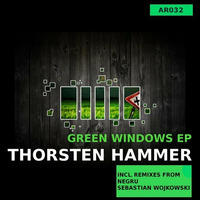 Thorsten Hammer - Green Windows (Negru Remix) / Snippet by Thorsten Hammer