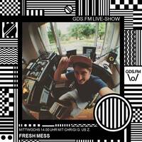 CHRIGI G. US Z. - FRESH MESS VOL. 12 by GDS.FM