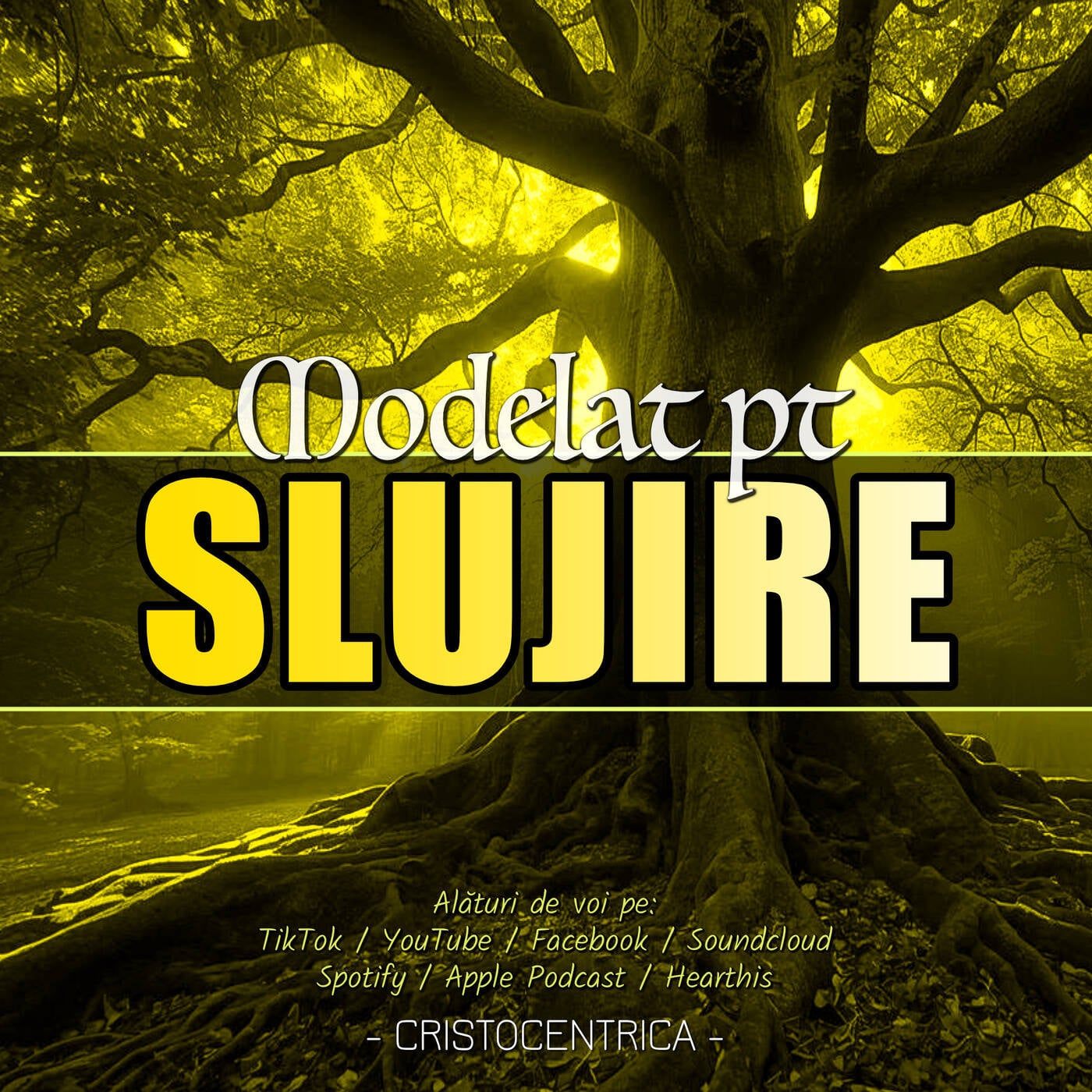 Modelat pentru slujire (daruri spirituale & inimă) episode artwork