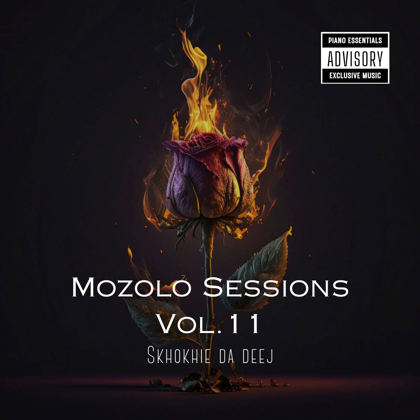 Mozolo Sessions Vol.11 Mixed By Skhokhie Da DeeJay episode artwork