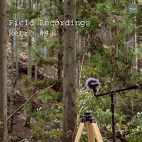 Field Recordings | Retro #43 by PG3A