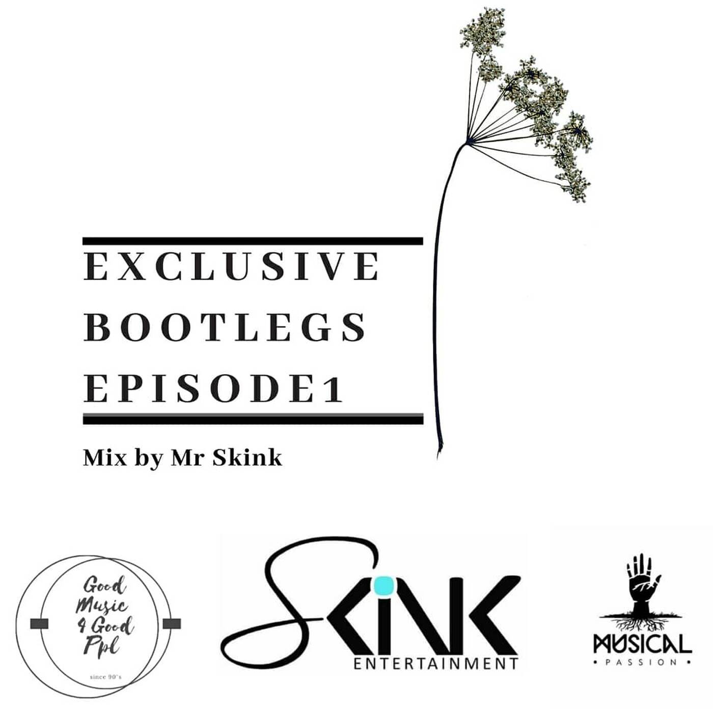 Exclusive Bootlegs Episode1 Mix By Mr Skink episode artwork