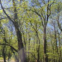 Luigy BD Party #0426 by DJLuigy