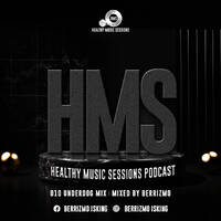 Healthy Music Sessions Podcast 010(Underdog Mix)by Berrizmo by Healthy Music Sessions