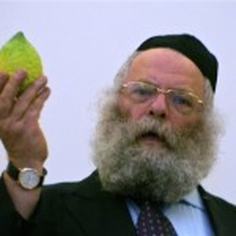 Rav Rodal