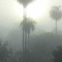 Esta Luz Instrumental by Hans Krauß